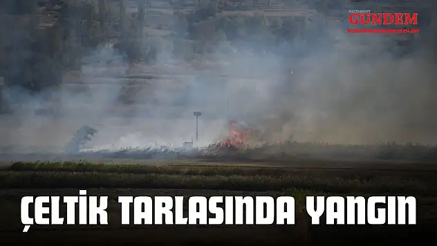 Kastamonu'da Çeltik Tarlasında Yangın