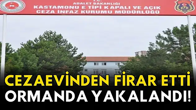 Kastamonu'da Cezaevinden Kaçan Hükümlü, Ormanda Yakalandı