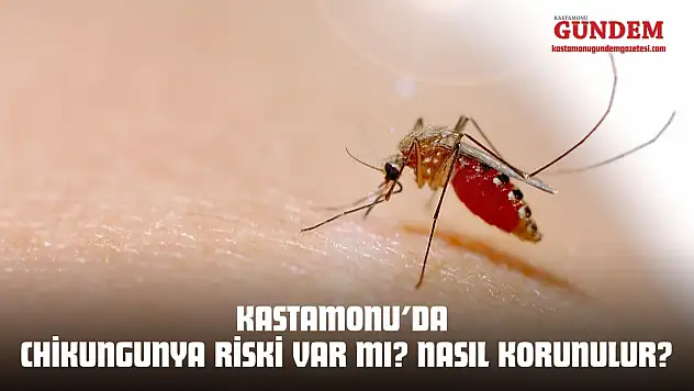 Kastamonu'da Chikungunya Riski Var mı? Nasıl Korunulur?