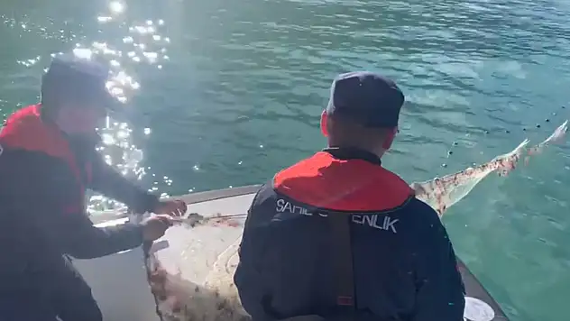Kastamonu'da Bin 100 Metre Kaçak Ağ Ele Geçirildi
