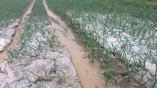 Kastamonu'da Dolu Yağışı Etkili Oldu