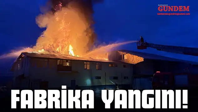 Kastamonu'da Fabrika Yangını!