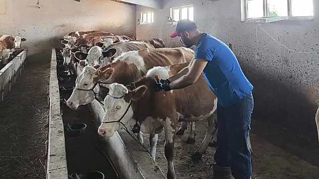 Kastamonu'da Hastalığa Karşı Bağışıklık Kalkanı