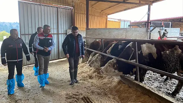 Kastamonu'da Hayvancılık İşletmeleri Yerinde İncelendi