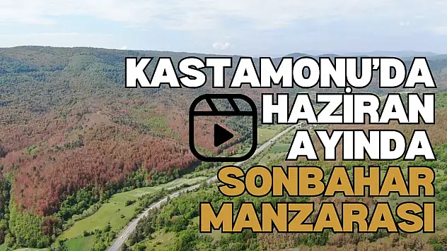 Kastamonu'da Haziran Ayında Sonbahar Manzarası