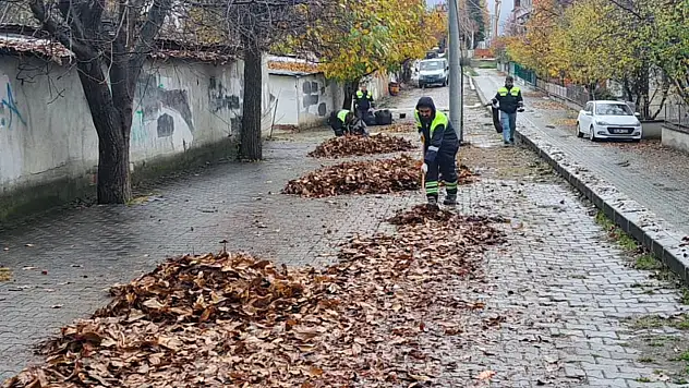 Kastamonu'da Hummalı Çalışma