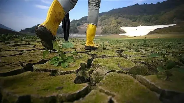 Kastamonu'da İklim Değişikliği Farkındalık Etkinliği Düzenlenecek