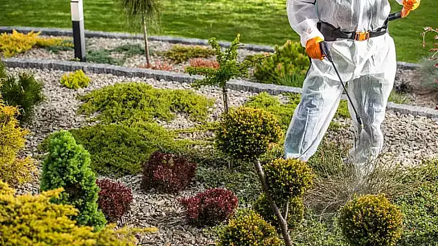 Kastamonu'da İlaçlama Seferberliği Başladı: Bugün Hangi Sokaklar İlaçlanacak?