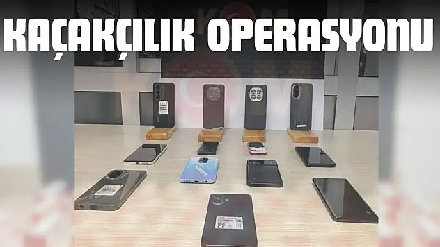 Kastamonu'da Kaçakçılık Operasyonu