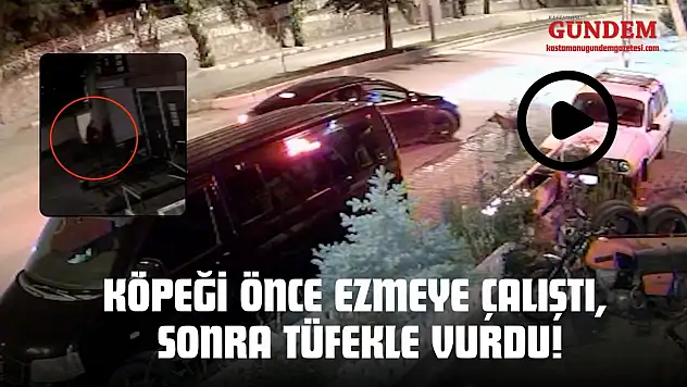 Kastamonu'da Kan Donduran Olay: Köpeği Önce Ezmeye Çalıştı, Sonra Tüfekle Vurdu!