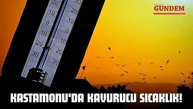 Kastamonu'da Kavurucu Sıcaklık!