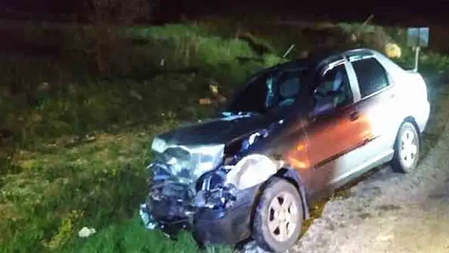 Kastamonu'da kaza, domuz sürüsüne daldı
