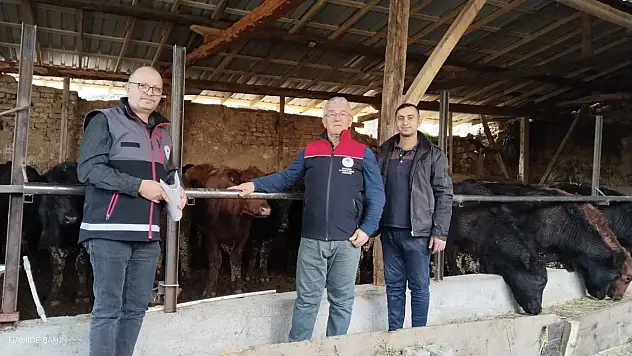 Kastamonu'da 'Kırsalda Bereket' Projesi Kapsamında Denetimler Sürüyor