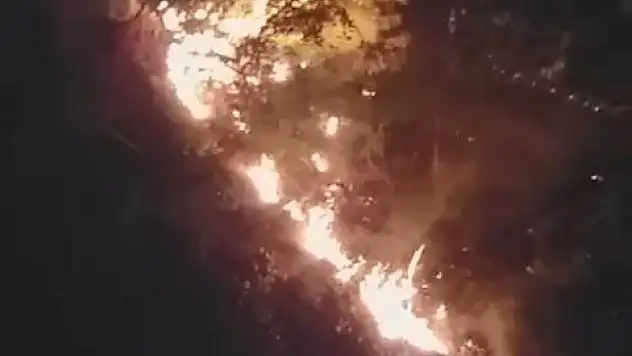 Kastamonu'da korkutan orman yangını