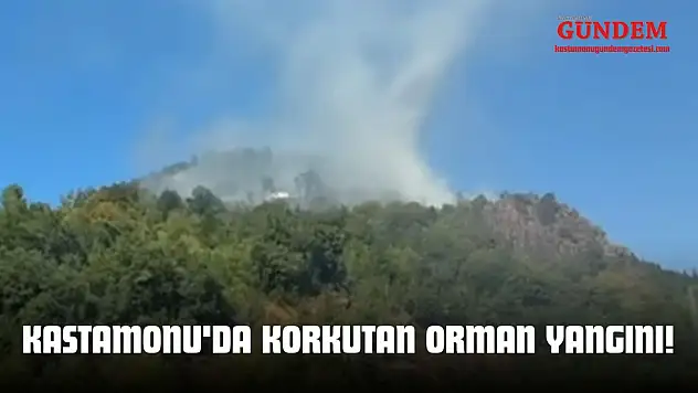 Kastamonu'da Korkutan Orman Yangını!