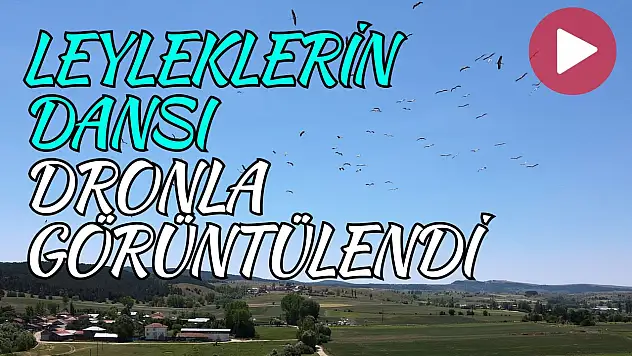 Kastamonu'da Leyleklerin Dansı Dronla Görüntülendi