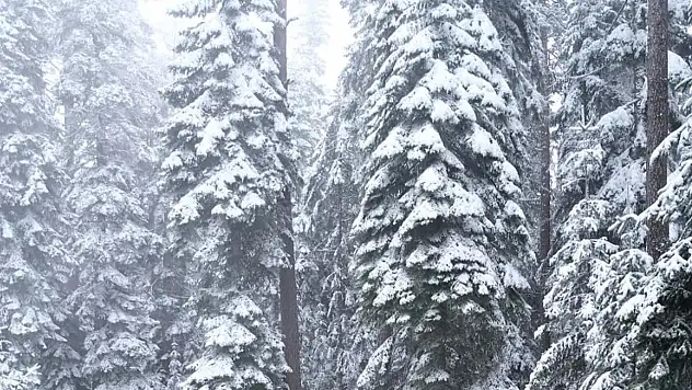 Kastamonu'da nisan karı