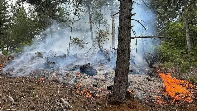 Kastamonu'da Orman Yangını