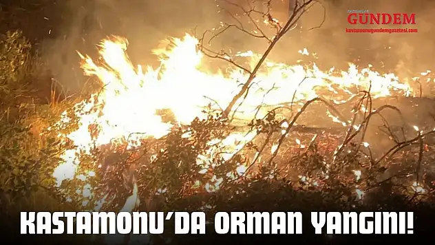 Kastamonu'da Orman Yangını!