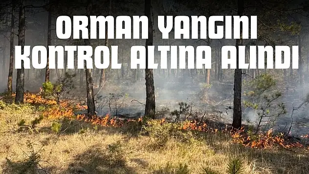Kastamonu'da Orman Yangını!