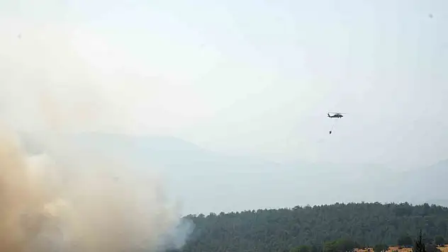 Kastamonu'da Orman Yangınlarıyla Mücadele Sürüyor