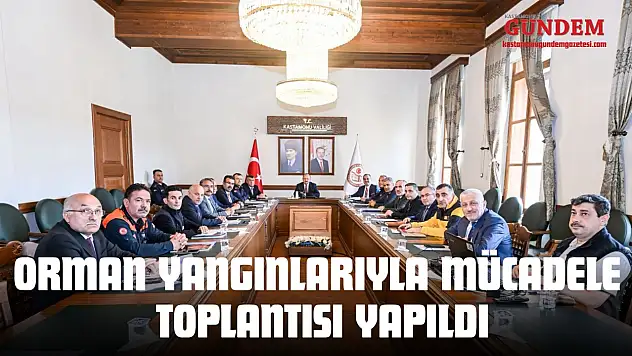 Kastamonu'da Orman Yangınlarıyla Mücadele Toplantısı Yapıldı