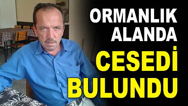 Kastamonu'da Ormanlık Alanda Erkek Cesedi Bulundu