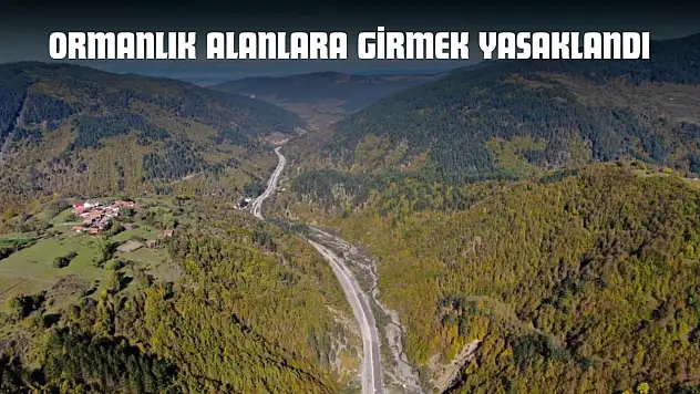Kastamonu'da Ormanlık Alanlara Girmek Yasaklandı