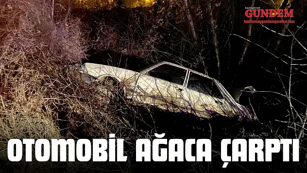 Kastamonu'da Otomobil Ağaca Çarptı: 1 Yaralı