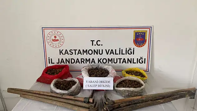 Kastamonu'da sahlep kaçakçıları yakalandı