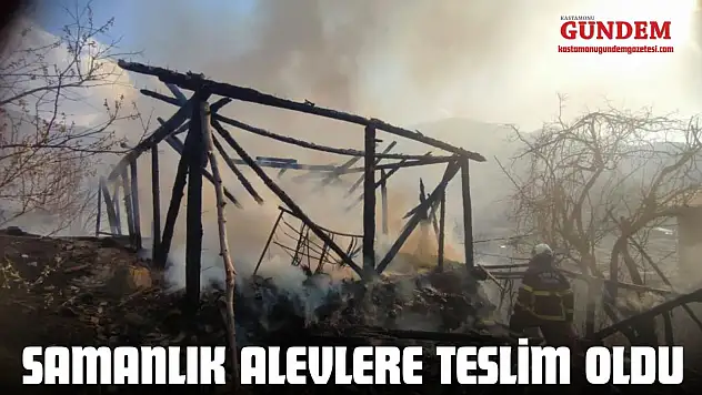 Kastamonu'da Samanlık Alevlere Teslim Oldu