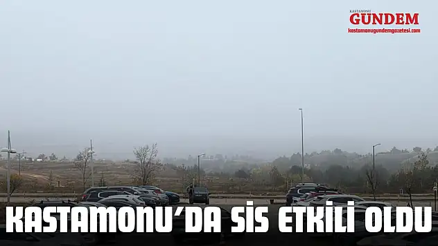 Kastamonu'da Sis Etkili Oldu