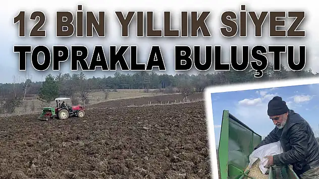 Kastamonu'da Siyez Toprakla Buluştu
