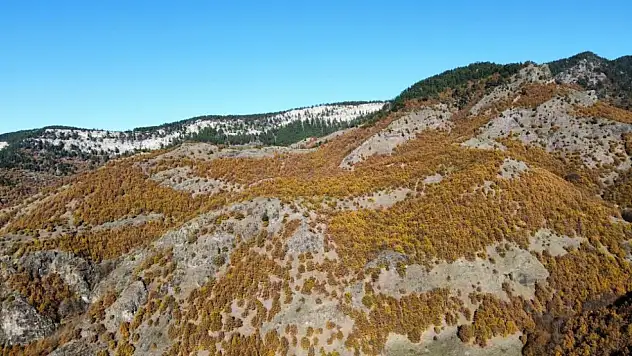 Kastamonu'da Sonbaharın Renkleri Mest Ediyor