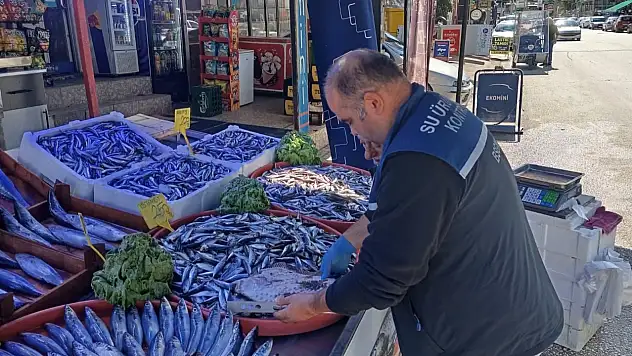 Kastamonu'da Su Ürünleri Satış Noktalarına Denetim