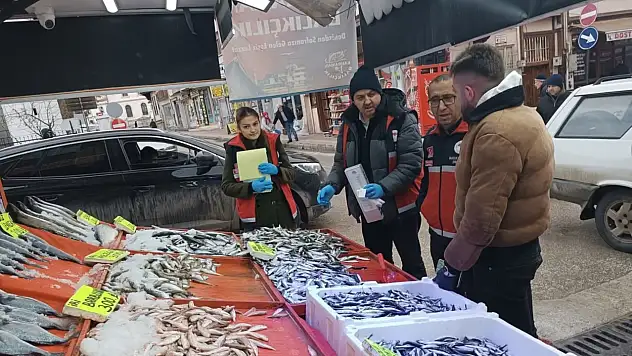 Kastamonu'da Su Ürünlerine Yönelik Denetimler Sürdürüldü