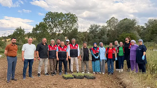 Kastamonu'da Tıbbi Ve Aromatik Bitki Üretimine Güçlü Destek