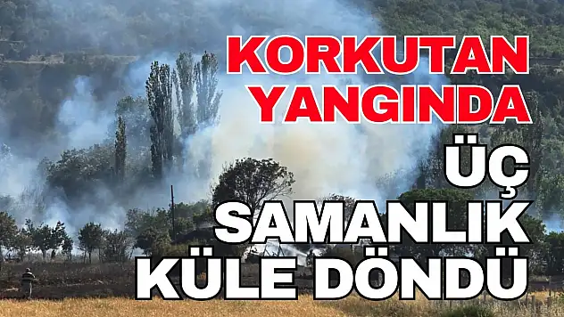 Kastamonu'da Üç Samanlık ve Ekin Tarlası Yandı