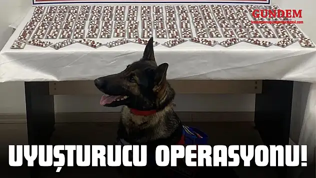 Kastamonu'da Uyuşturucu Operasyonu!