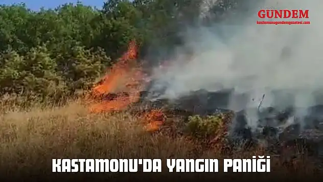 Kastamonu'da Yangın Paniği
