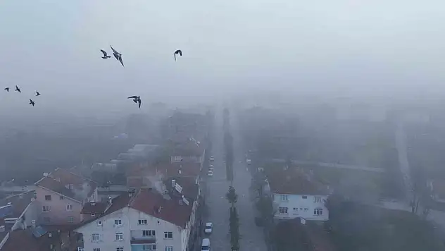 Kastamonu'da Yoğun Sis