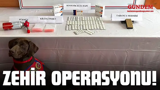 Kastamonu'da Zehir Operasyonu: 1 Tutuklama!