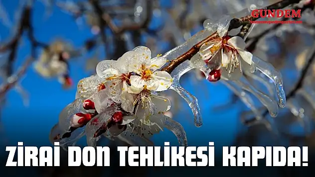 Kastamonu'da Zirai Don Tehlikesi Kapıda!