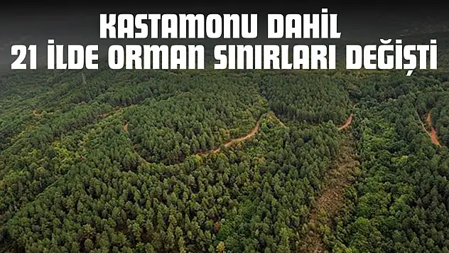 Kastamonu Dahil 21 İlde Orman Sınırları Değişti