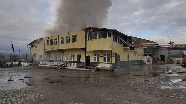 Kastamonu'daki Fabrika Yangını İle İlgili Yeni Gelişme!