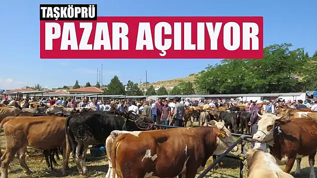 Kastamonu'daki hayvan pazarı yeniden açıldı.