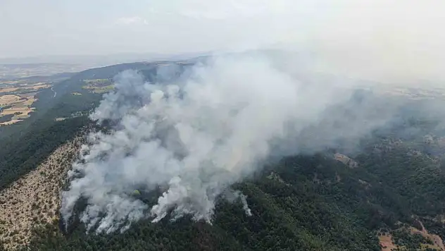 Kastamonu'daki Orman Yangını Havadan Görüntülendi