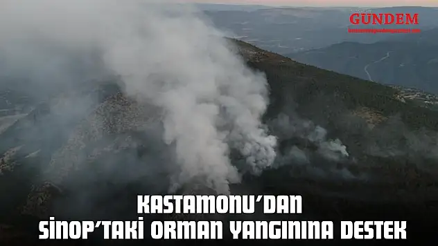 Kastamonu'dan Sinop'taki Orman Yangınına Destek