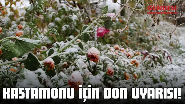 Kastamonu İçin Don Uyarısı!