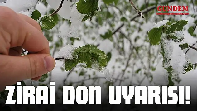 Kastamonu İçin Zirai Don Uyarısı
